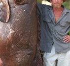 Michael's Clarence Valley Retreat - Palm Beach Accommodation