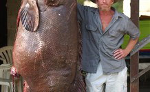 Michael's Clarence Valley Retreat - Palm Beach Accommodation 0