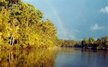 Michael's Clarence Valley Retreat - Palm Beach Accommodation 6