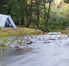 Nymboida Canoe Centre - Palm Beach Accommodation