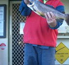Rainbow Pines Tourist Caravan Park - Palm Beach Accommodation