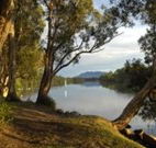 South West Rocks Tourist Park - South - Palm Beach Accommodation