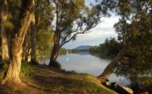 South West Rocks Tourist Park - South - Palm Beach Accommodation 0