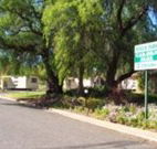 Spicer Park Caravan Park - Palm Beach Accommodation