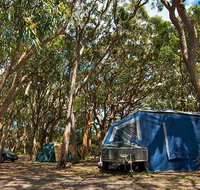 Stewart and Lloyds campground - Palm Beach Accommodation