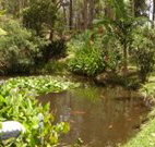 Tallowood Ridge B and B - Palm Beach Accommodation