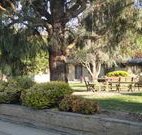 Hamilton Hume Motor Inn - Yass - Palm Beach Accommodation