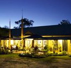 Surfaris Surf Camp - Crescent Head - Palm Beach Accommodation