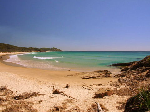 Grassy Head Holiday Park - Palm Beach Accommodation 2