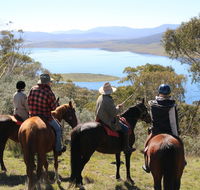 Reynella Homestead and Horseback Rides - Palm Beach Accommodation