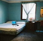 Noahs City Backpackers Hostel - Palm Beach Accommodation