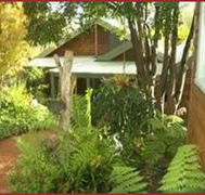 CEDAR CROFT Bed  Breakfast - Palm Beach Accommodation