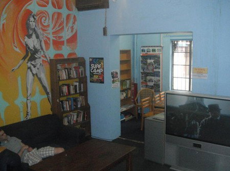 The Globe Backpackers - Palm Beach Accommodation 4