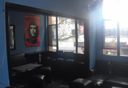 The Globe Backpackers - Palm Beach Accommodation 5