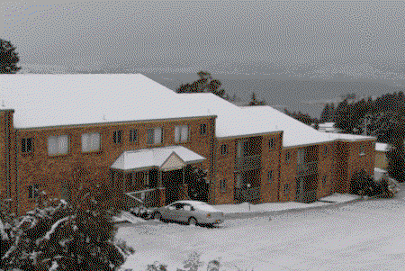 Acacia Snowy Motel - Palm Beach Accommodation 4