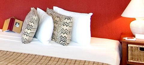 Chimes Spa Retreat - Palm Beach Accommodation 2