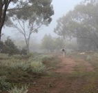 Heritage Park Bathurst - Palm Beach Accommodation
