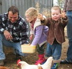 Linga Longa Farm Wingham - Palm Beach Accommodation