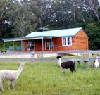 Moorallie Cottage Farm Stay - Palm Beach Accommodation