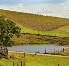 Sanctuary Hill Retreat - Palm Beach Accommodation