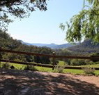 Cedar Grove - - Palm Beach Accommodation