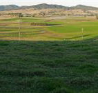 Leconfield House - Palm Beach Accommodation