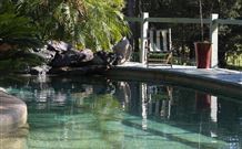 Telegraph Retreat - - Palm Beach Accommodation 3