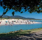 Cudgerie Little House - Palm Beach Accommodation