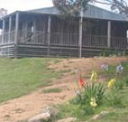 Dairy Flat Farm Holiday - Palm Beach Accommodation