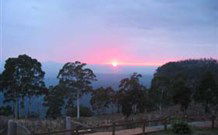 Dairy Flat Farm Holiday - Palm Beach Accommodation 1