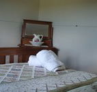 Love Me Tender - Palm Beach Accommodation