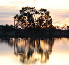 Myuna Bay Sport and Recreation Centre - Palm Beach Accommodation