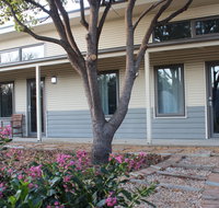 The Grape and Olive in Willunga - Palm Beach Accommodation