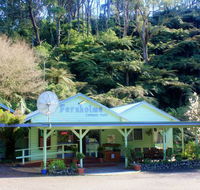 Tarra Valley Caravan Park - Palm Beach Accommodation