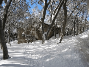 Akla Ski Lodge - Palm Beach Accommodation