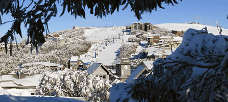 Alpine Ridge Lodge - Palm Beach Accommodation
