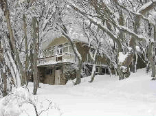 Amber Lodge - Palm Beach Accommodation