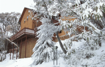Corio Ski Club - Palm Beach Accommodation