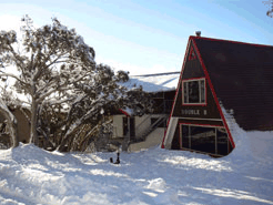 Double B Ski Lodge - Palm Beach Accommodation