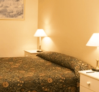 Best Western Abel Tasman Airport Motor Inn - Palm Beach Accommodation 0