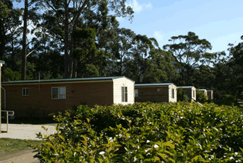 Captain James Cook Memorial Caravan Park - Palm Beach Accommodation 3