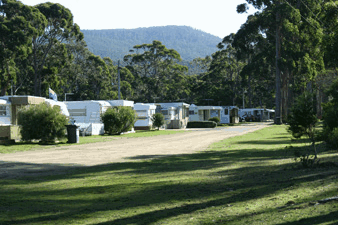 Captain James Cook Memorial Caravan Park - Palm Beach Accommodation 4