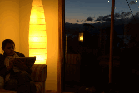 The Tree House - Palm Beach Accommodation 2