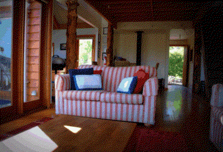 The Tree House - Palm Beach Accommodation 4