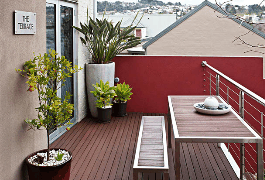 TwoFourTwo - Palm Beach Accommodation