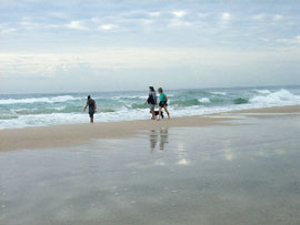Alfies By The Sea - Palm Beach Accommodation 0