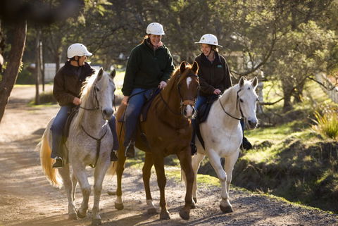 Country Club Tasmania - Palm Beach Accommodation 4