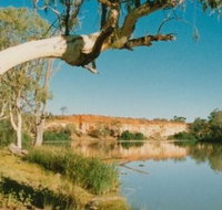 Border Cliffs River Retreat - Palm Beach Accommodation