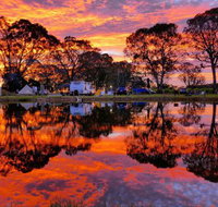 Coonawarra Bush Holiday Park - Palm Beach Accommodation