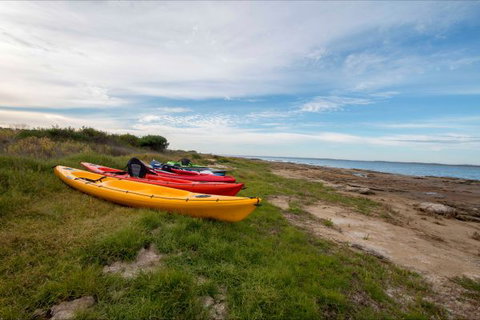 Coorong Cabins - Palm Beach Accommodation 7
